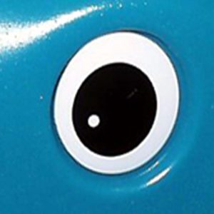 1 Eye
